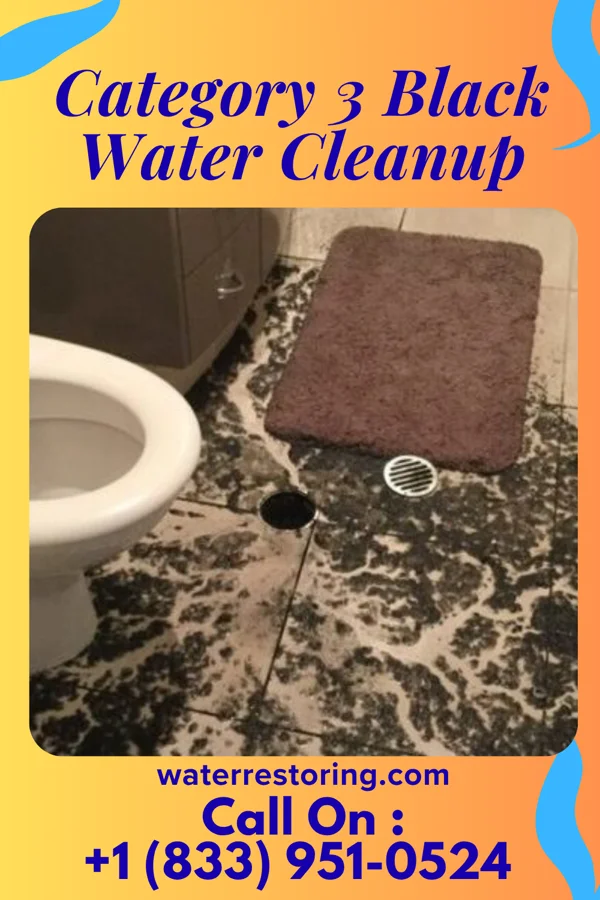 Category 3 Black Water Cleanup in Beauxart Gardens, TX