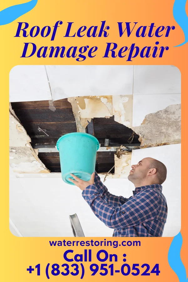 Roof Leak Water Damage Repair in Beauxart Gardens, TX